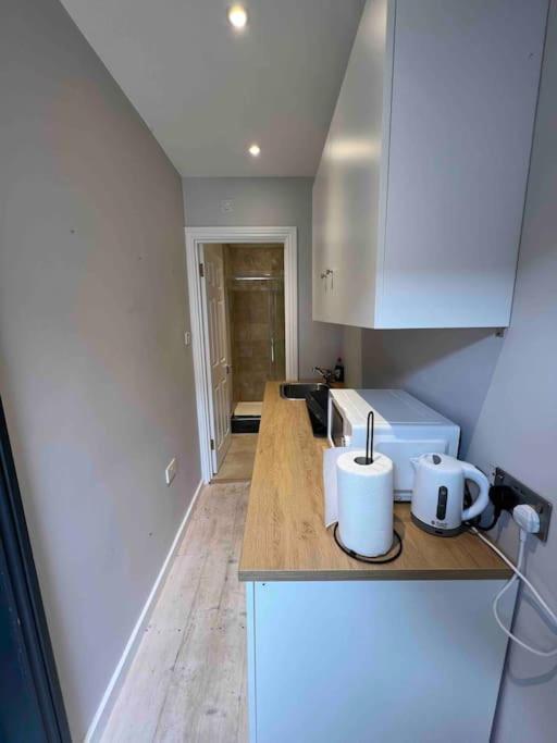 Newly Built Large Garden Ensuite Guest Studio Borehamwood Exterior photo